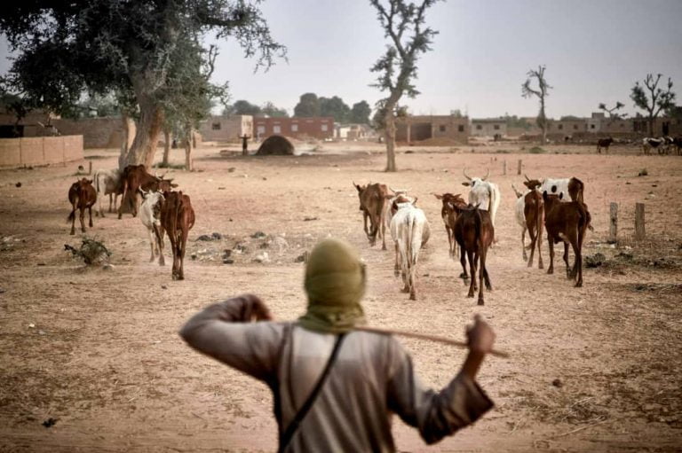 Le Niger engage des stratégies nationales de sécurité de proximité et de prévention !