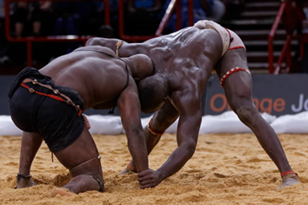 Niger : Les dieux  des arènes se réveillent !