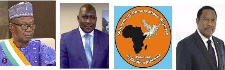 Niger : Les résultats de la diaspora révèlent une mainmise des lieutenants de Hama Amadou sur Lumana-Africa ?