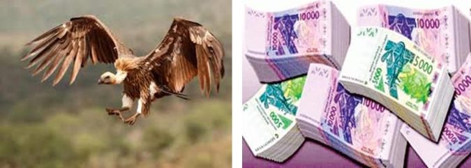 Finances : Les gros mensonges des fonds vautours pour acculer les pays pauvres !